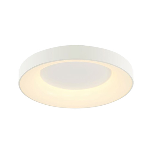 LED 36W 天花燈 (白色) (HHXZ3527)